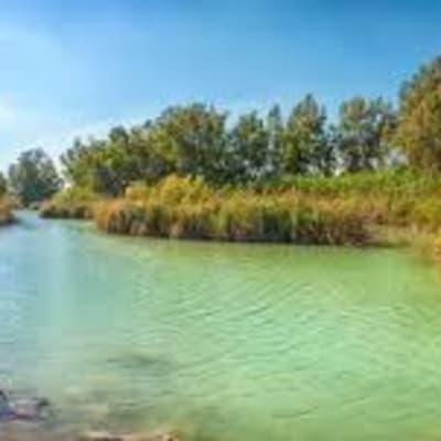 פליאה בולקא